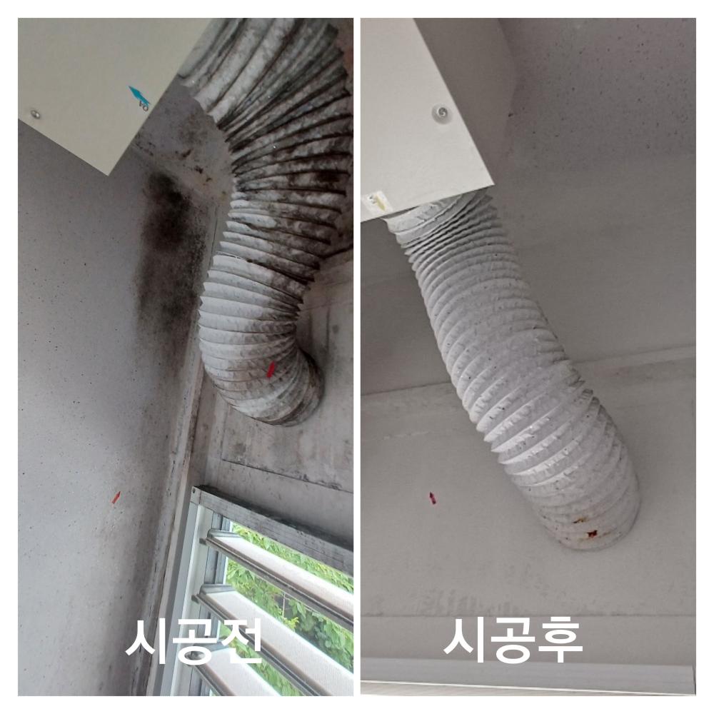 곰팡이 포자균처리