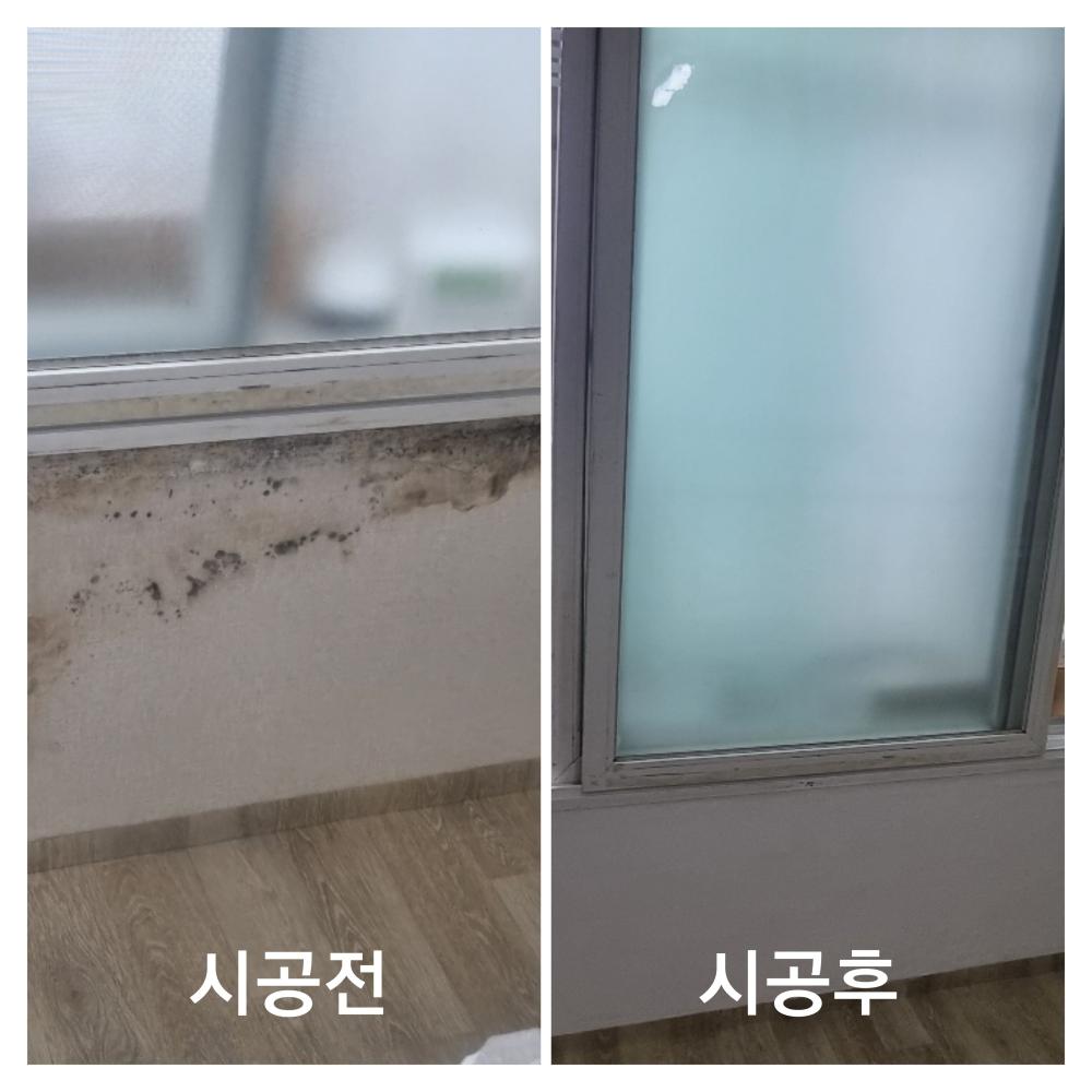 곰팡이 포자균처리