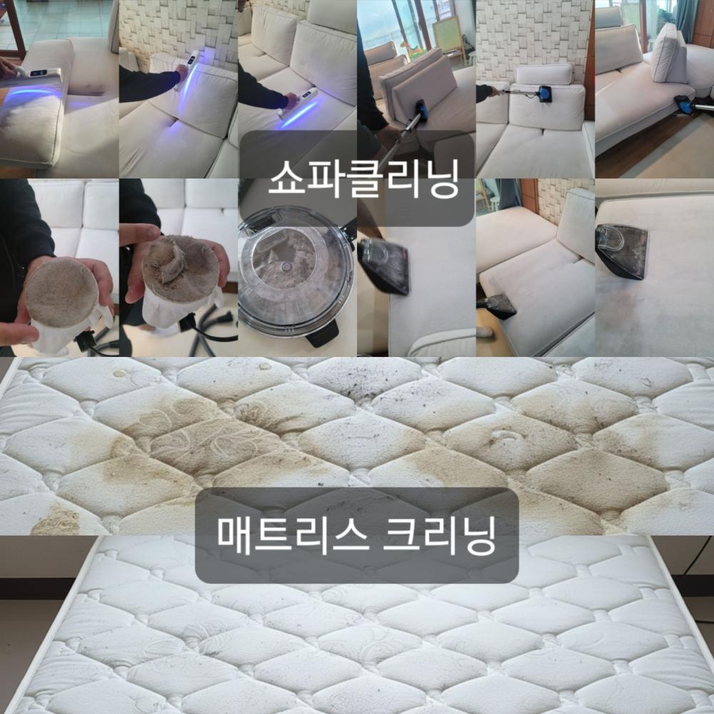 쇼파 매트리스 카펫 클리닝