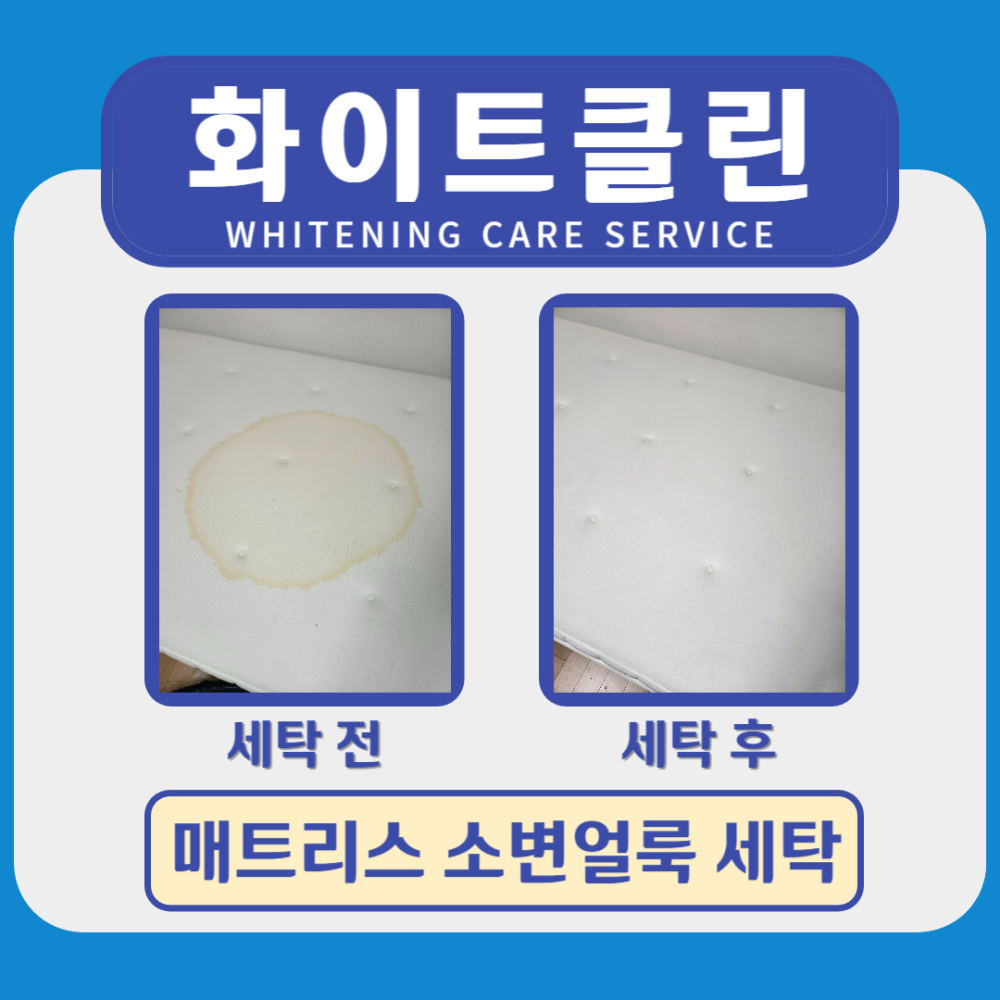 매트리스 곰팡이 소변 오염 케어