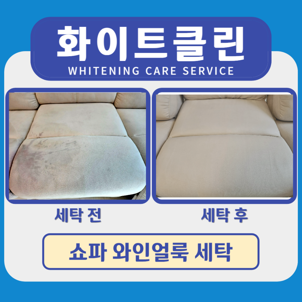 쇼파 와인 오염 케어