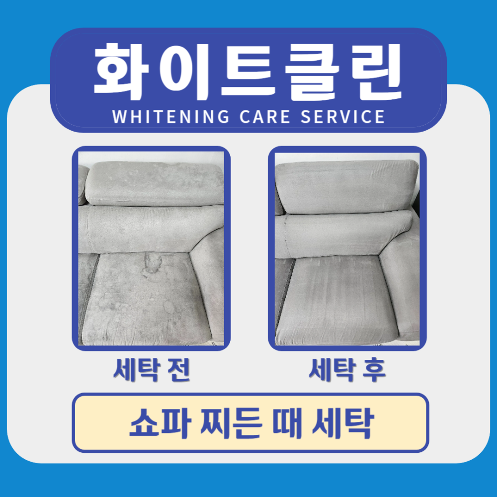 쇼파 찌든 때 케어