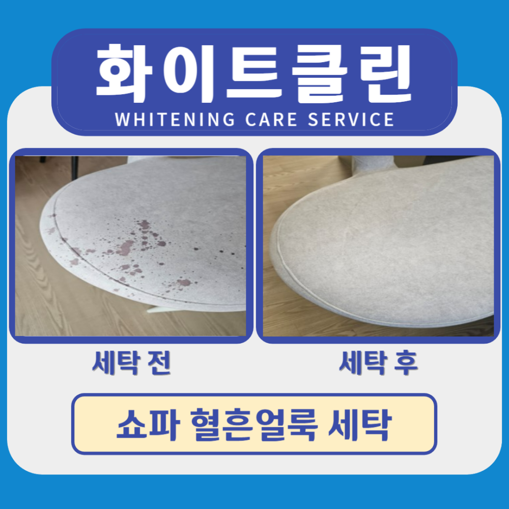 쇼파 혈흔 오염 케어