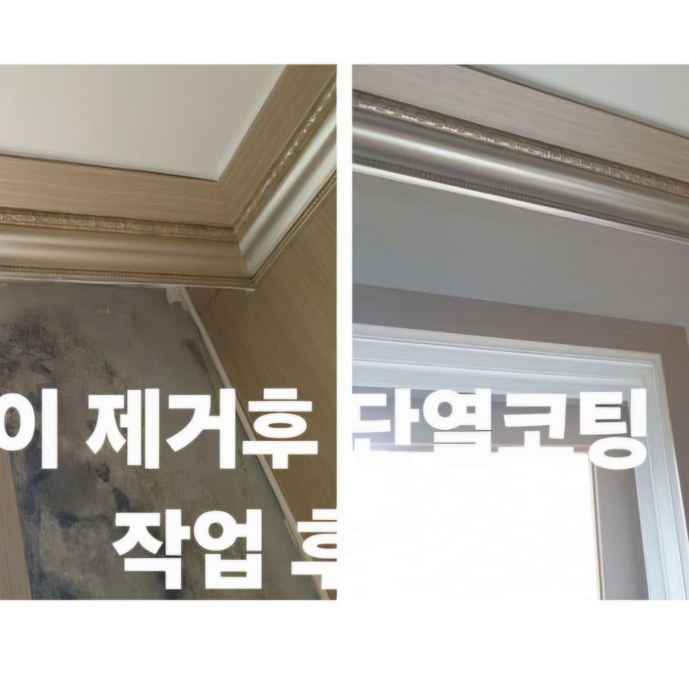 해충퇴치와 곰팡이제거 새집증후군해소