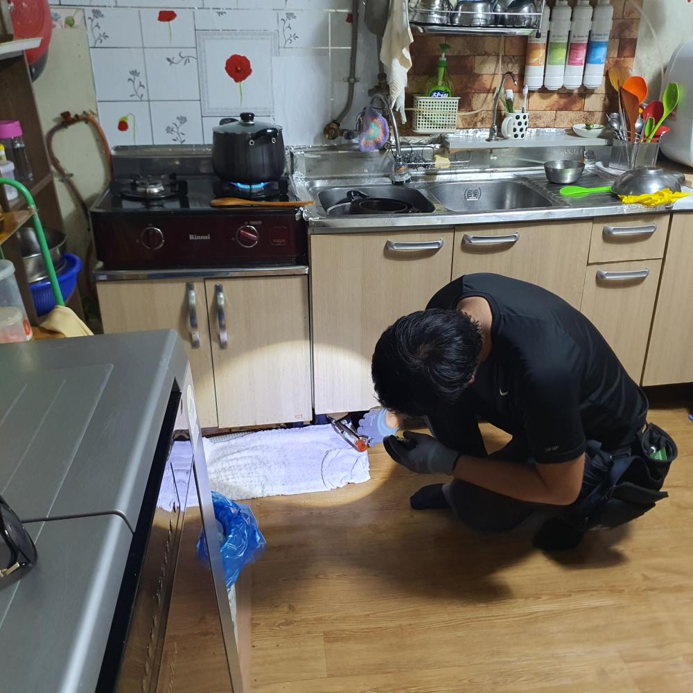 모든 바퀴들 다 나와