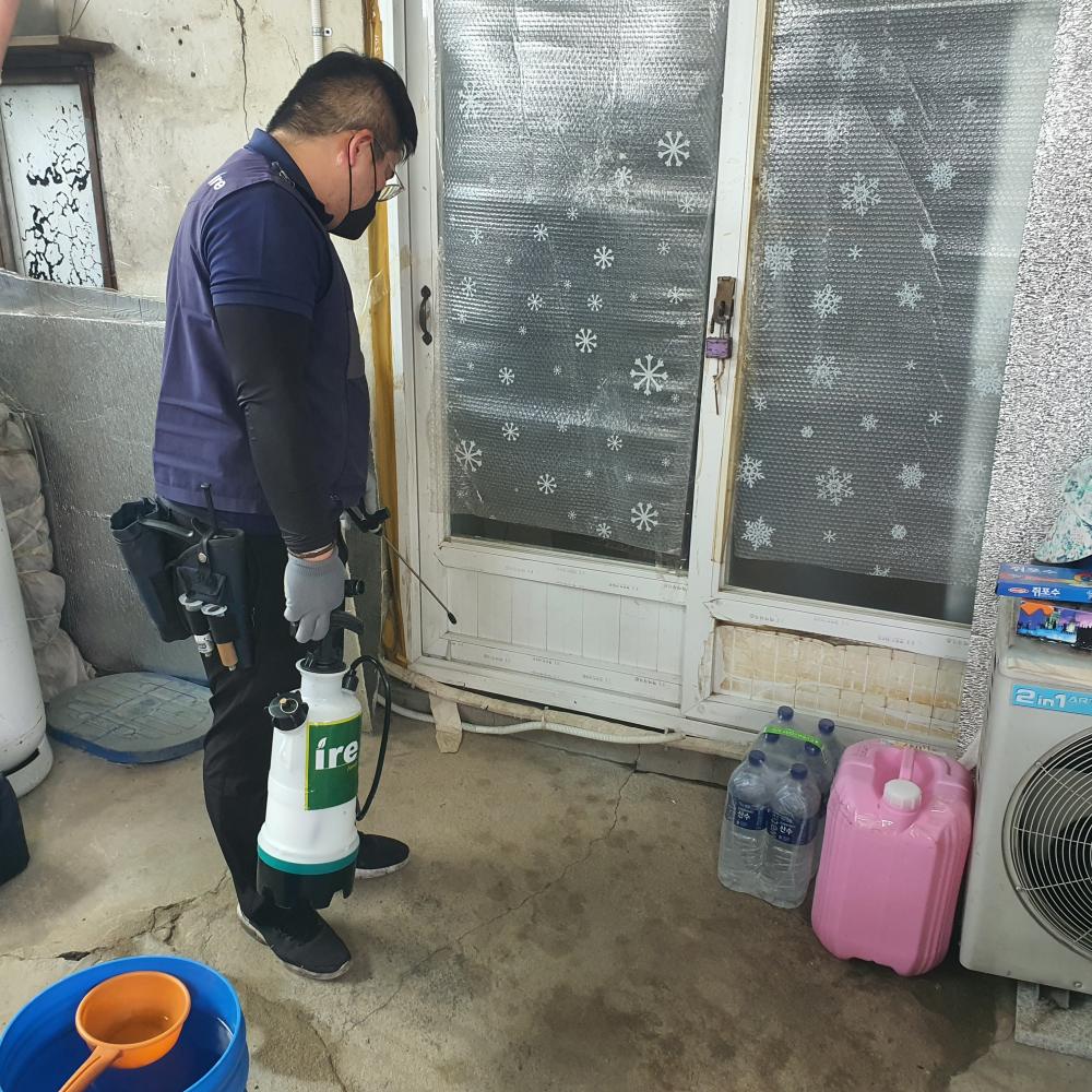 불편하게 하는 해충들 다 나와