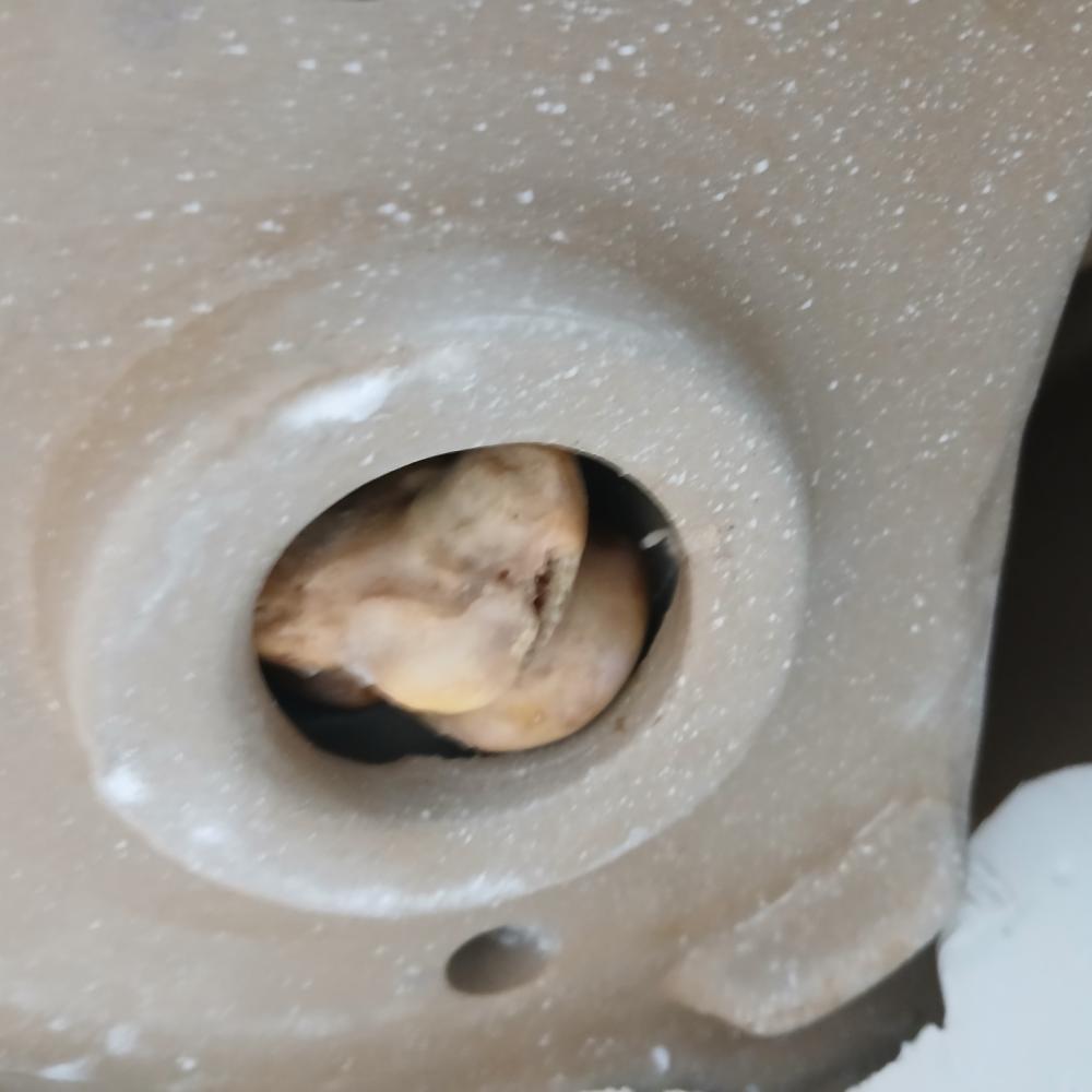 ♡♡강서구변기막힘(족발)