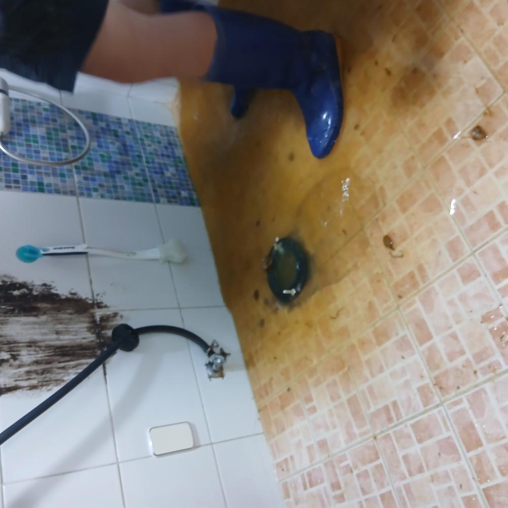 ♡♡강서구 빌라 고압세척(역류)