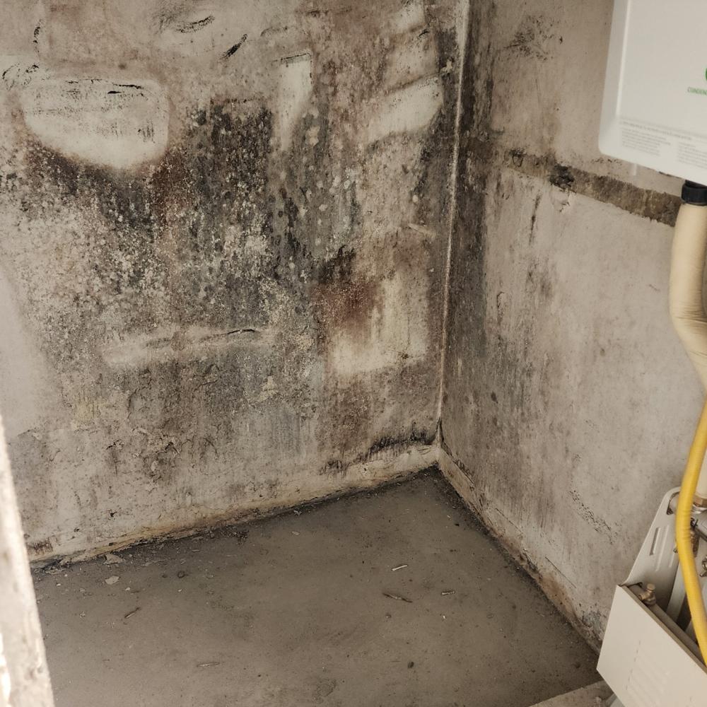 베란다 곰팡이 제거