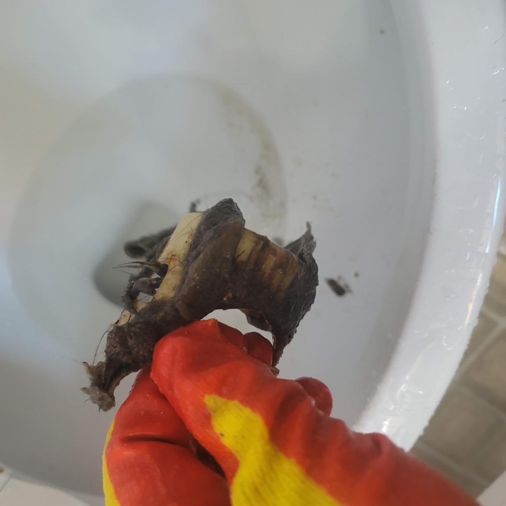 변기막힘 세면대막힘 싱크대막힘 하수구막힘 변기수리 변기교체