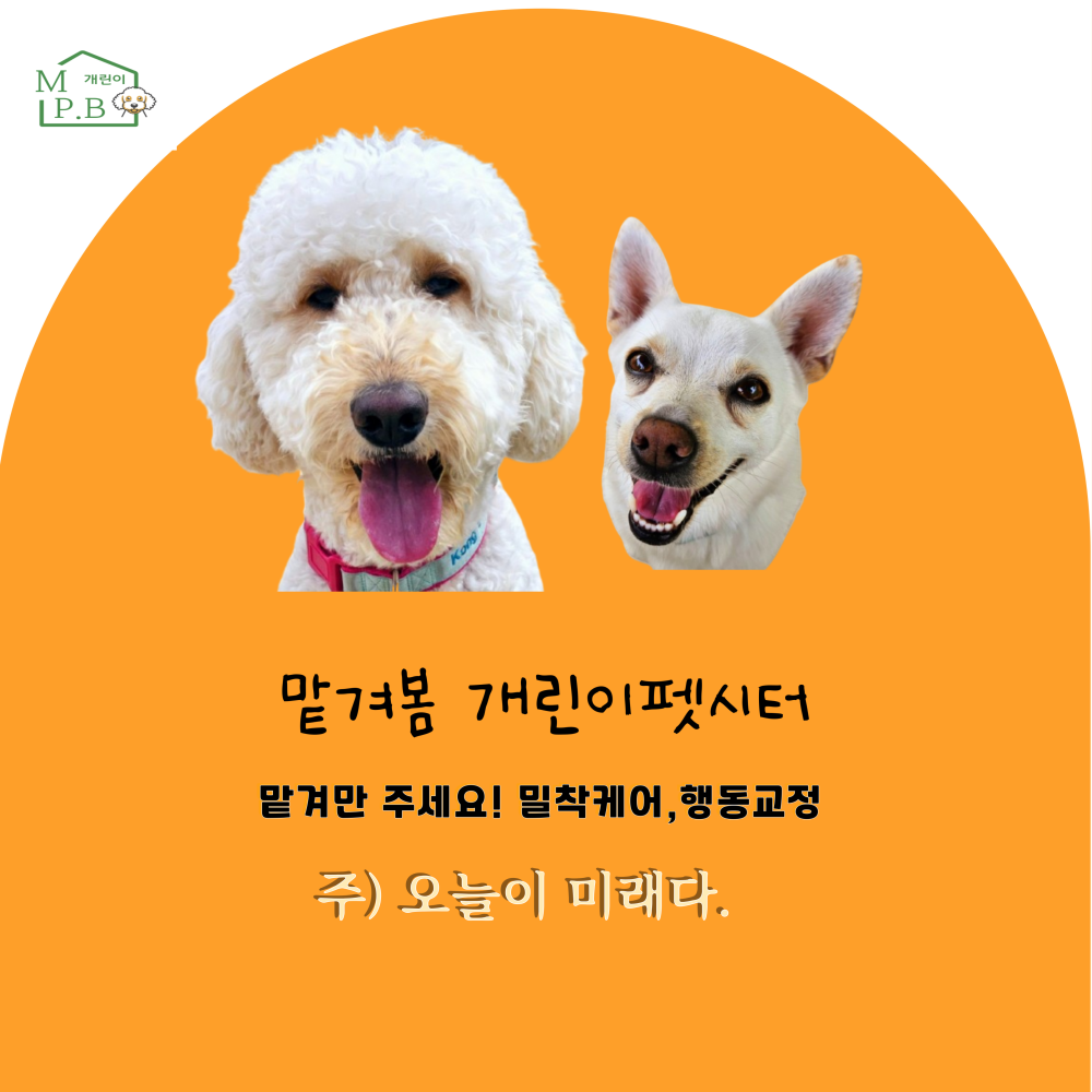 맡겨봄 아이들과 환경