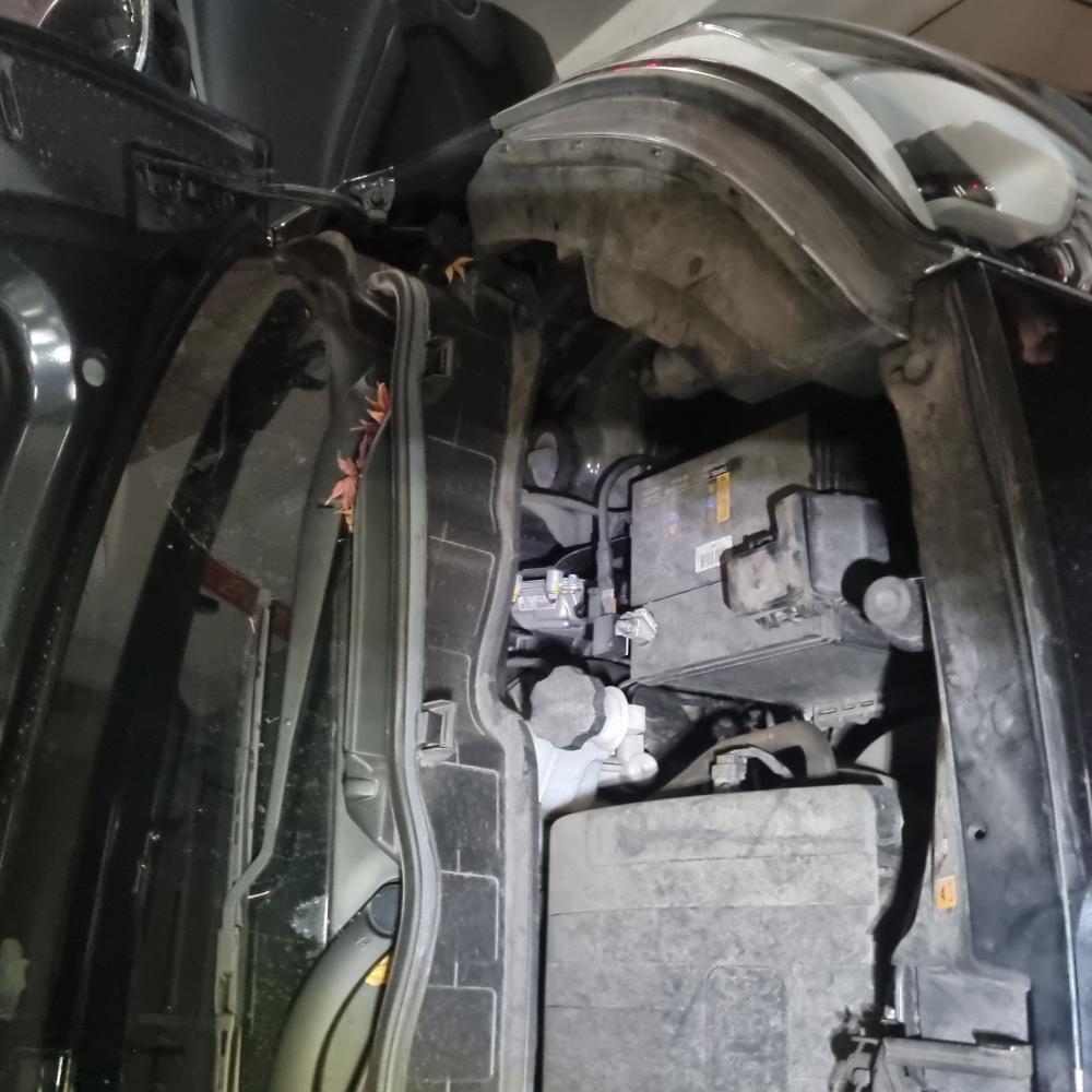 레이 배터리 교체