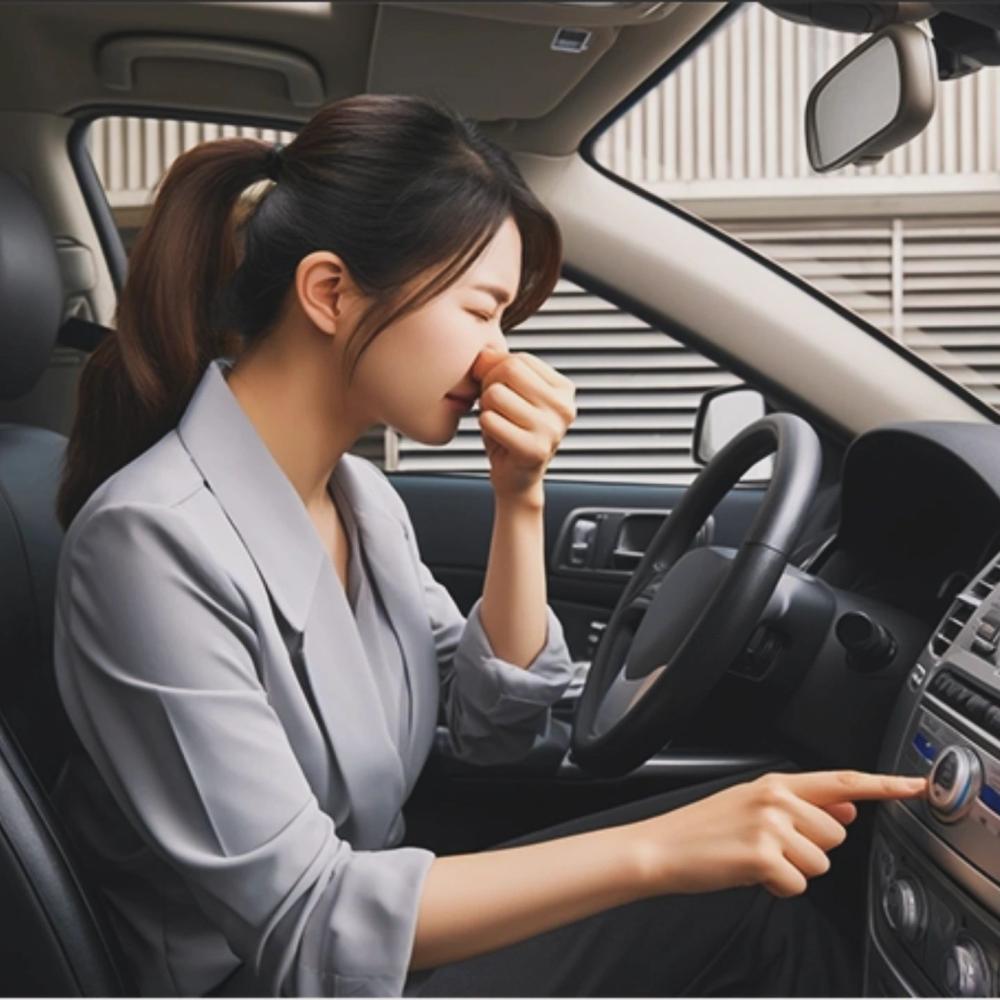 부분 특수크리닝 (음식물, 곰팡이, 구토)