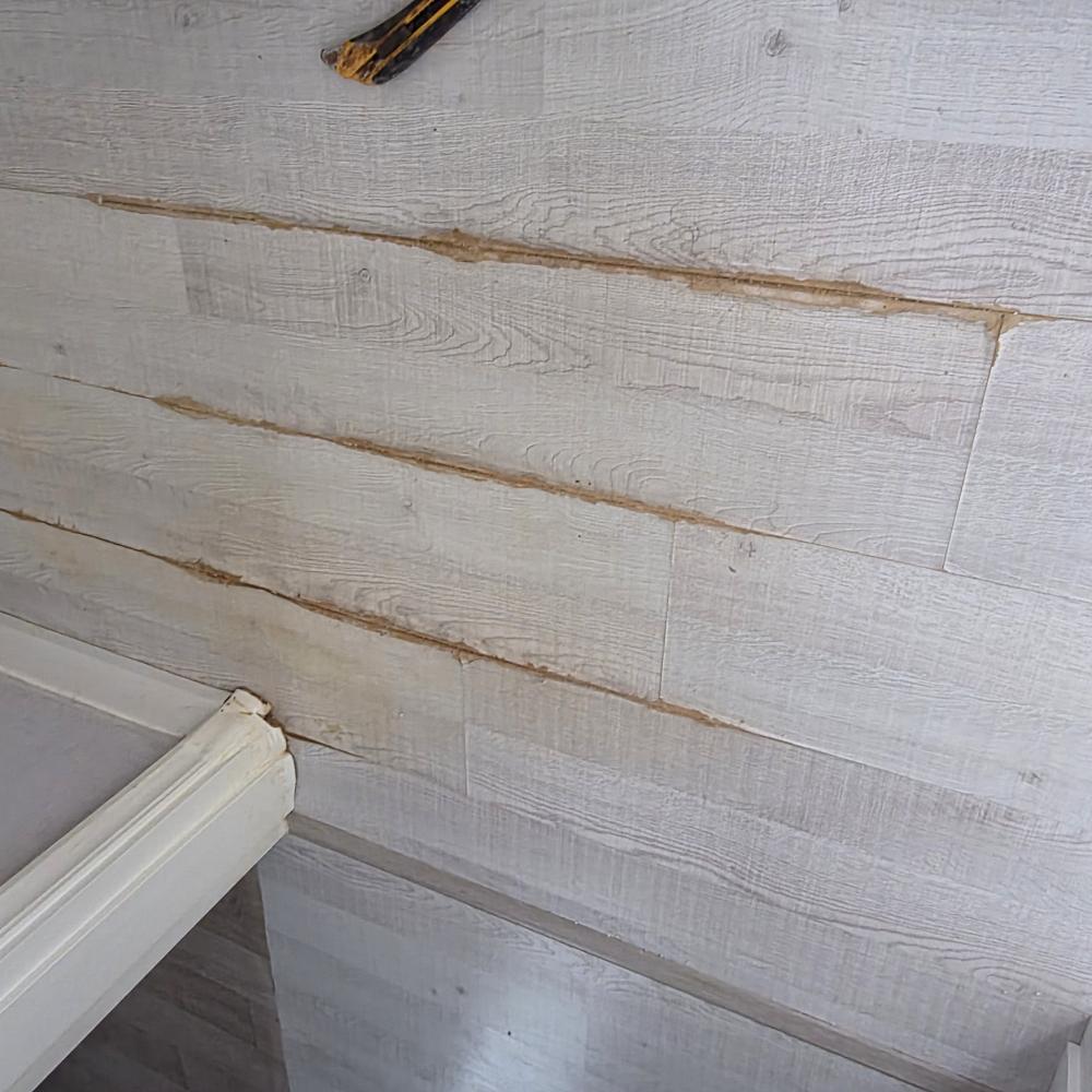 애견 소변으로. 강화마루 부분교체