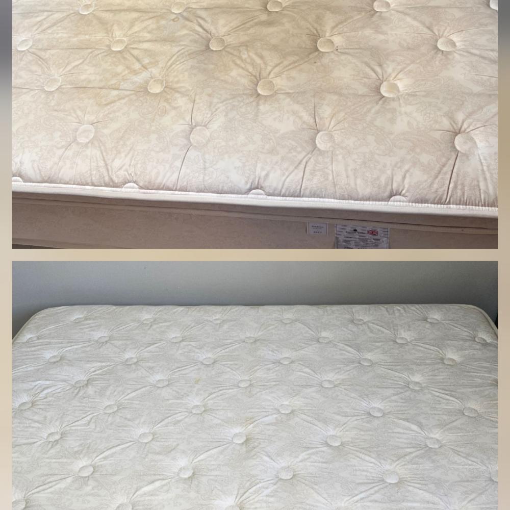 고양이 오줌, 강아지 오줌 실수한 매트리스 99%복원하기