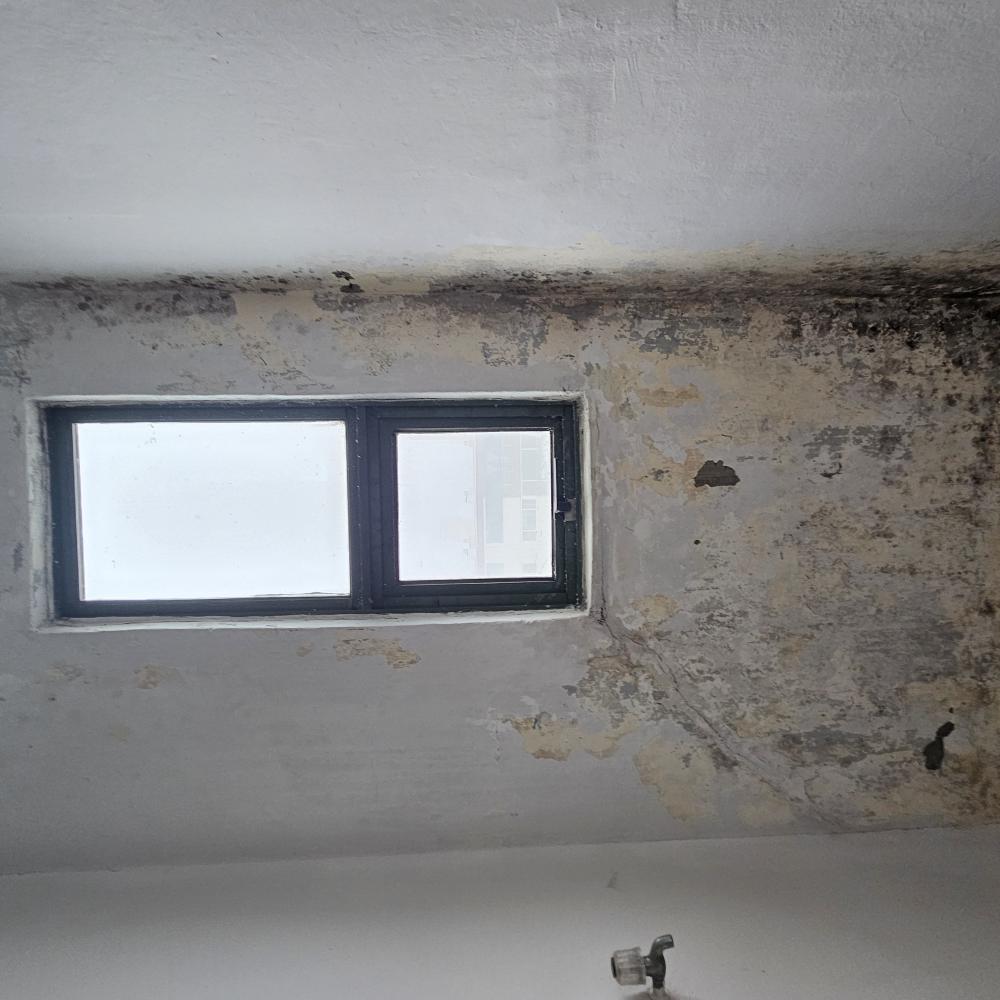 바이오 세라믹코트 작업