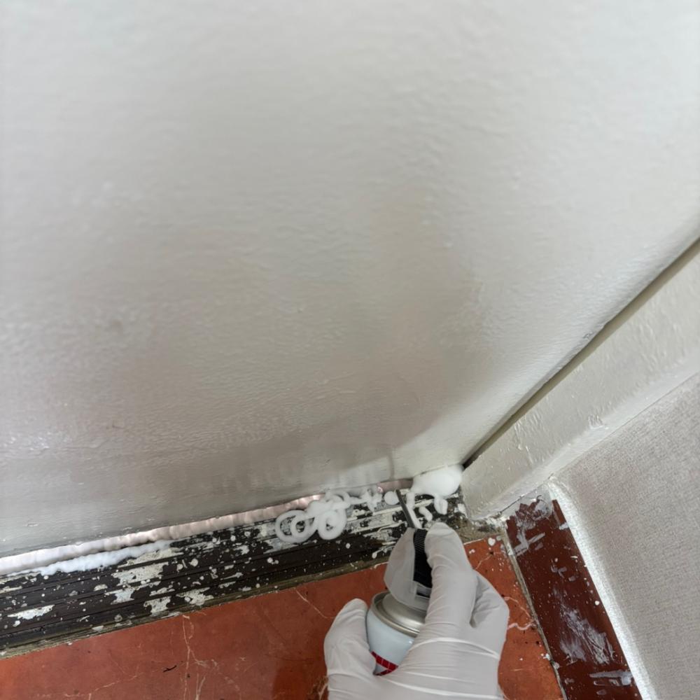 가정집 해충방역