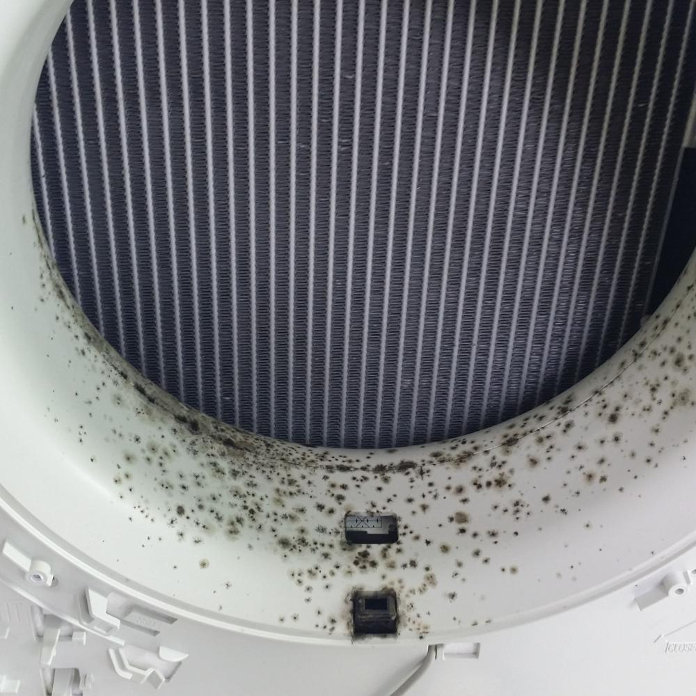 가정용 스탠드 에어컨 청소