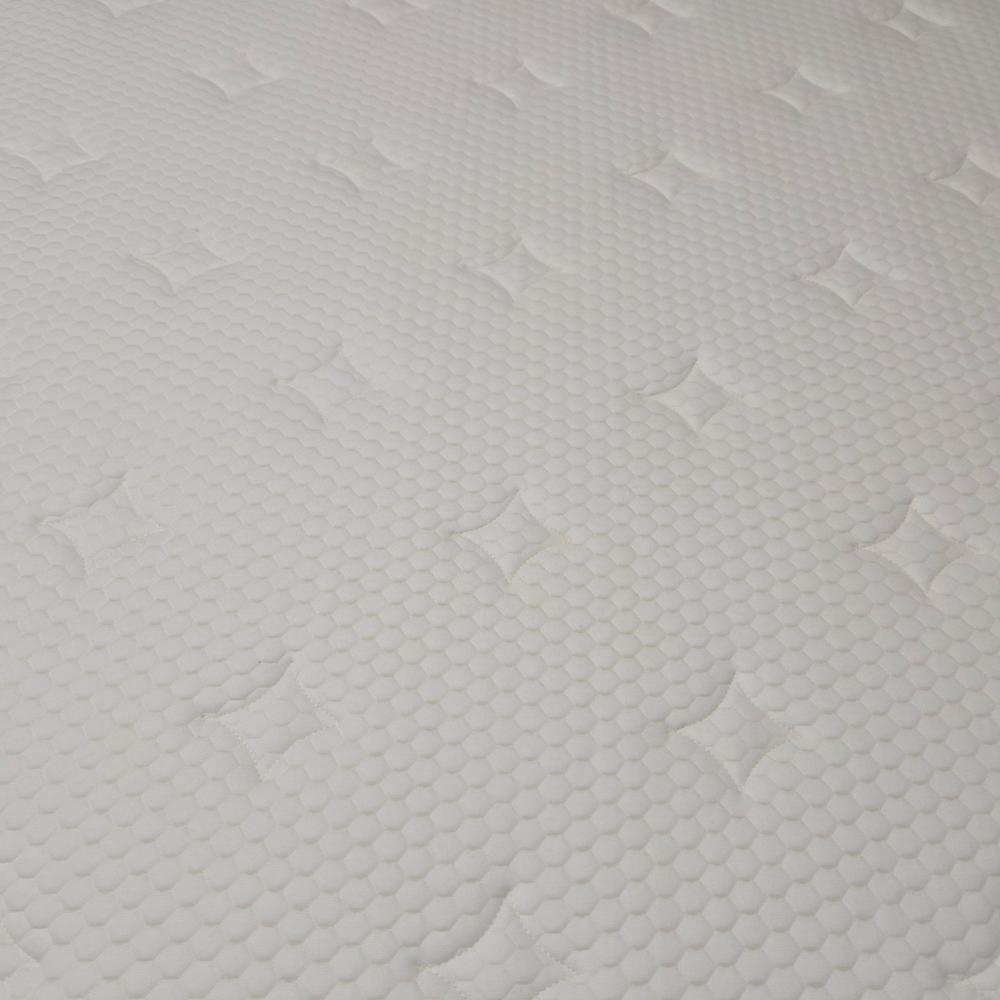 강아지 소변 얼룩 제거