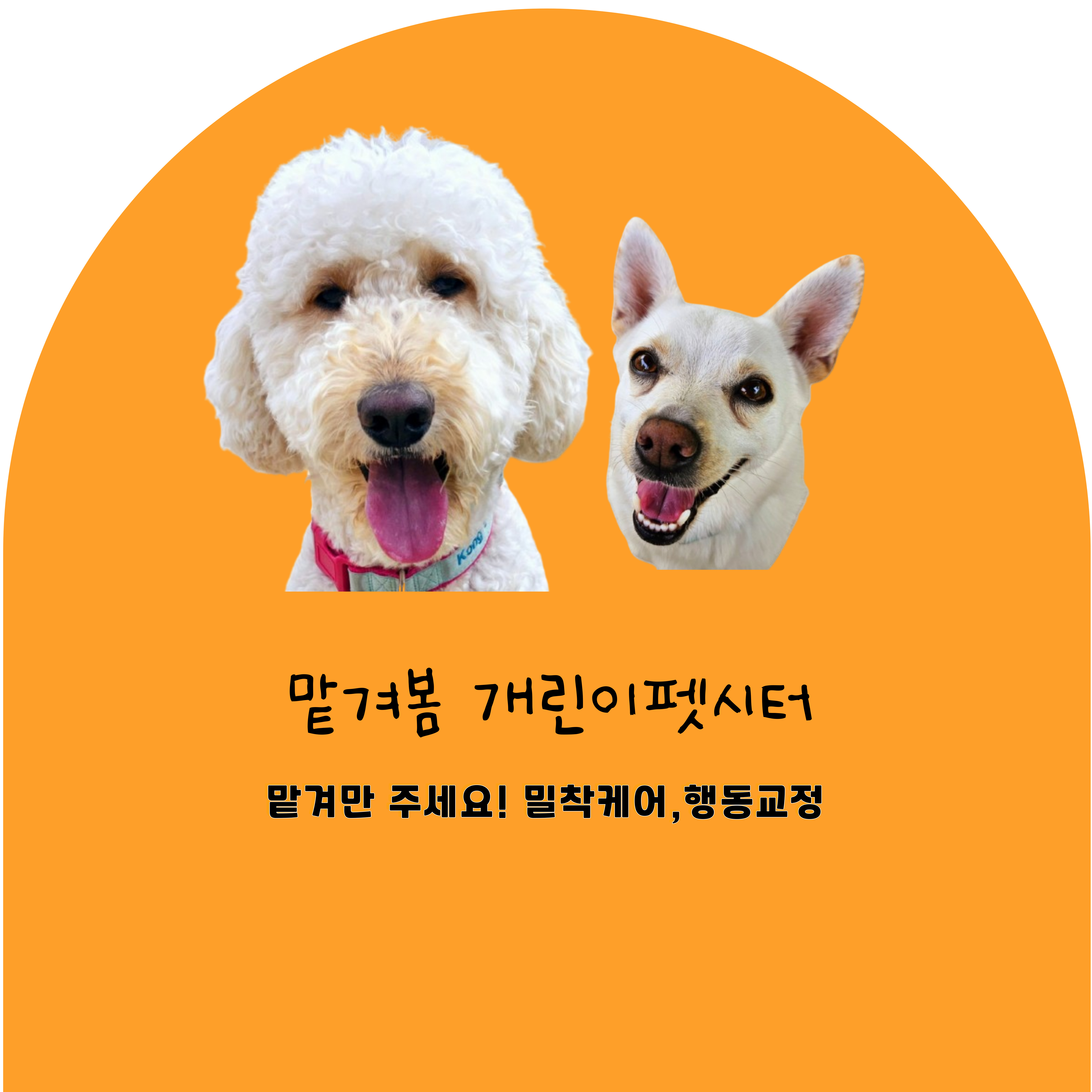프로필이미지