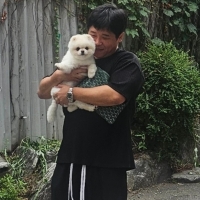 현대아트상사